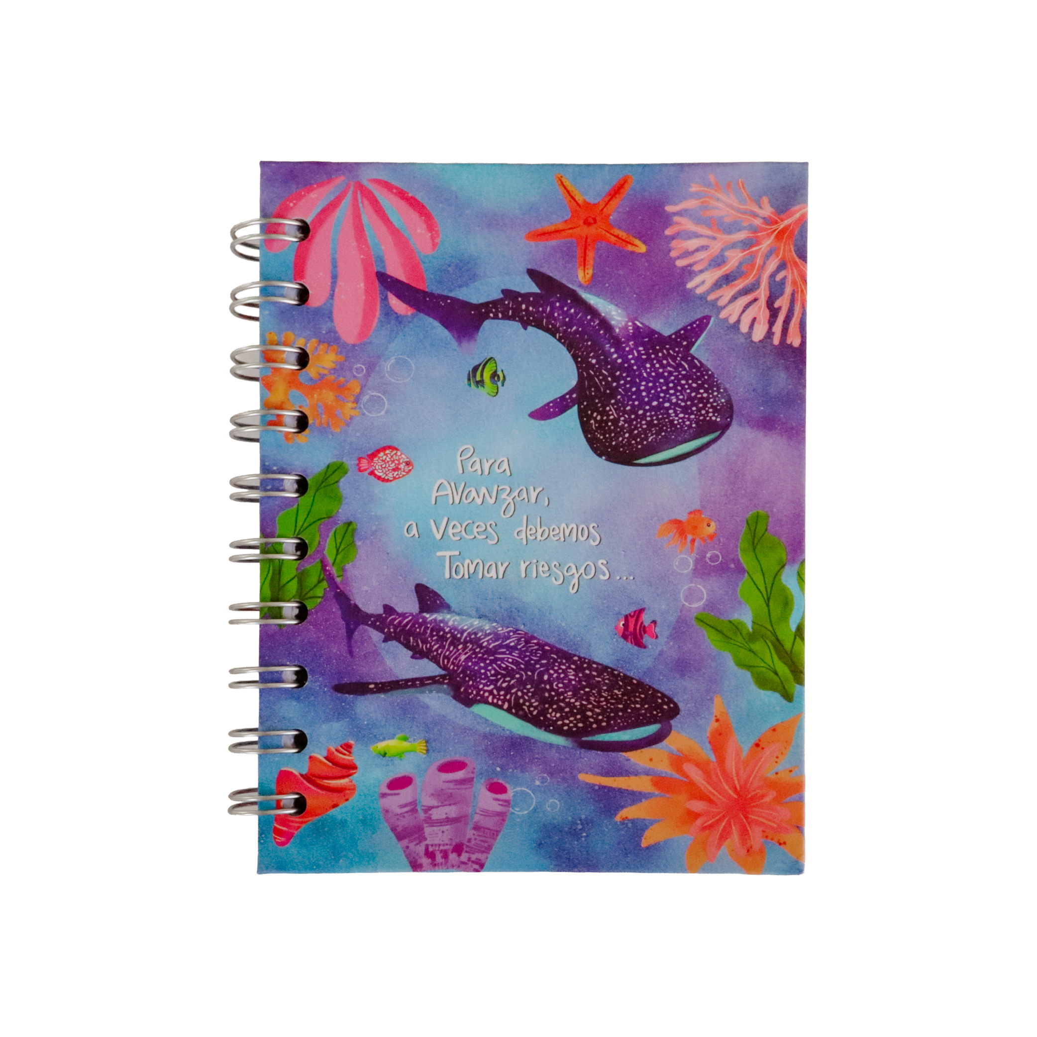 Libreta - Riesgos