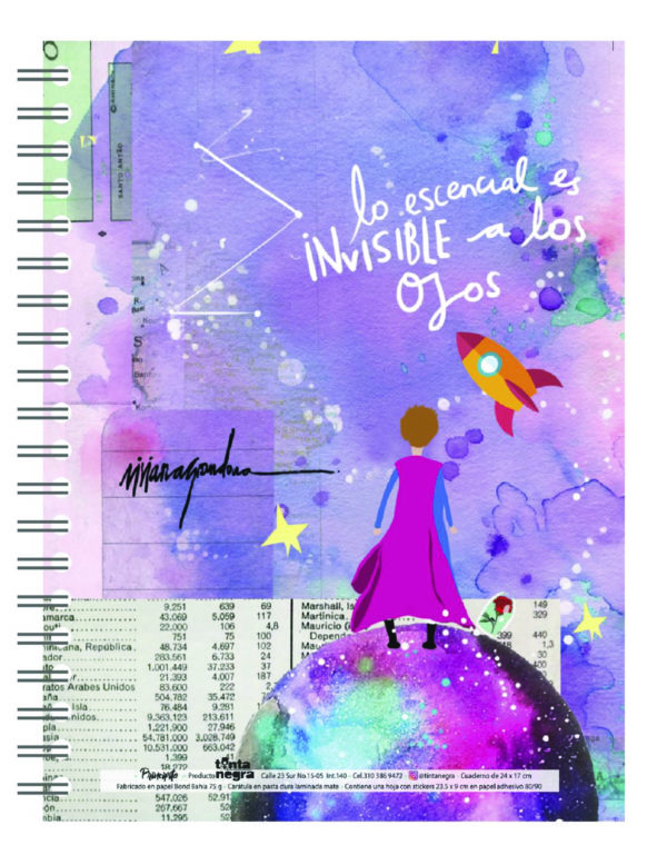 Principito - Imagen 2